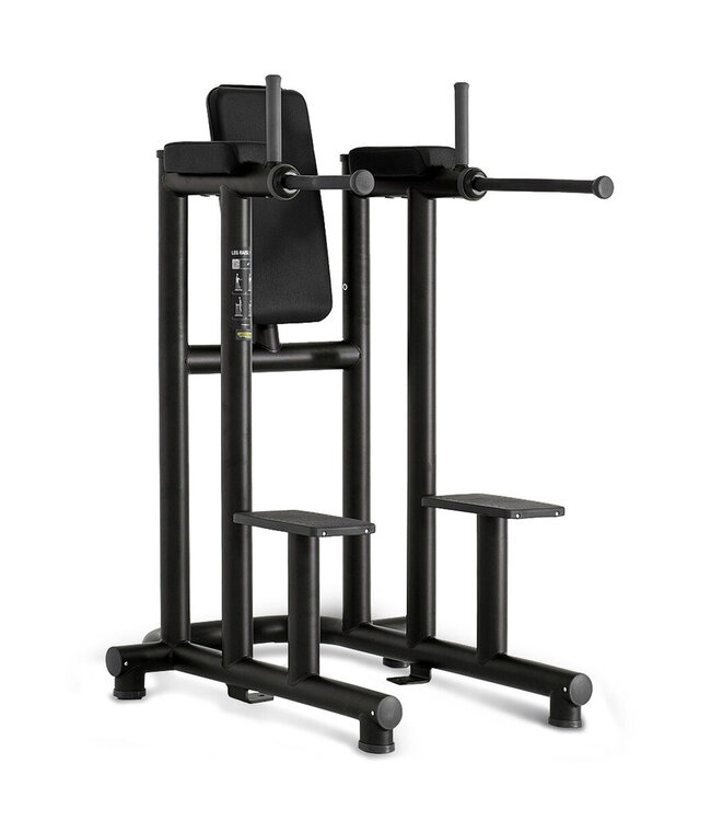 TechnoGym Dip Leg Raise - PA12