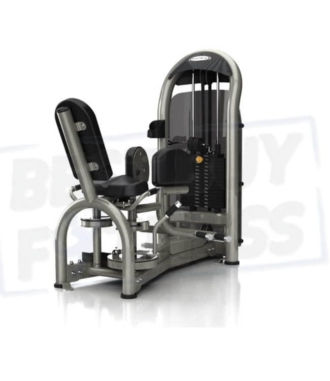Matrix Aura series G3 hip adductor