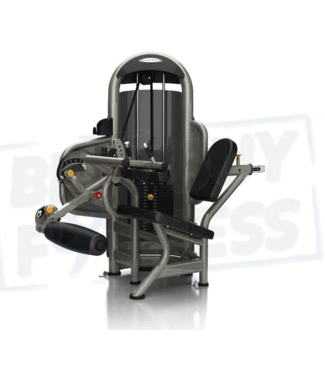 Matrix Aura Serie G3 sitzende Beinbeuger