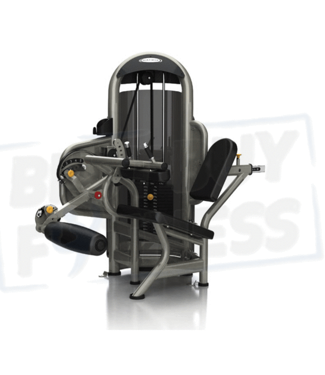 Matrix Aura series G3 leg curl assis