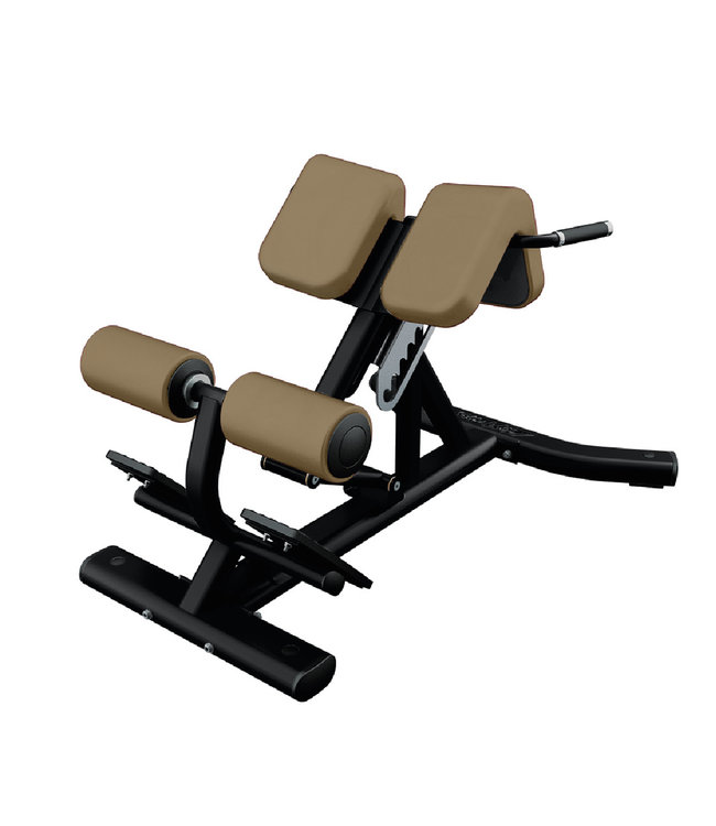 Life Fitness back extension