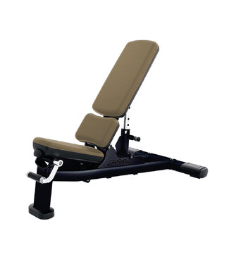 Life Fitness multi adjustable bench