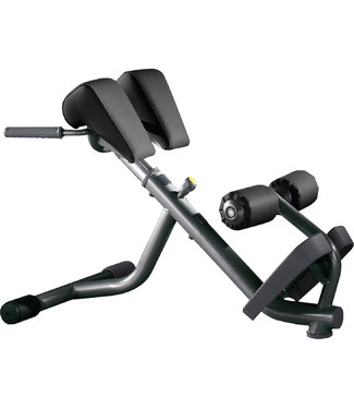 TechnoGym banc lombaire