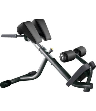 TechnoGym Rückenstreckerbank