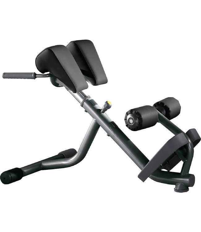 TechnoGym banc lombaire