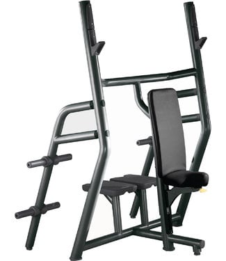 TechnoGym vertical bench