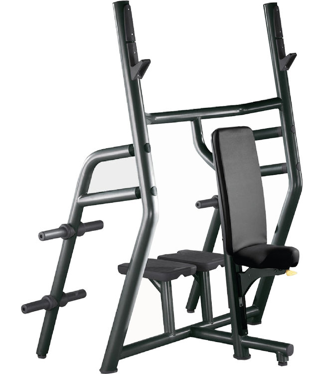 TechnoGym vertical bench