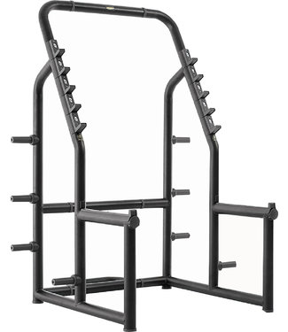 TechnoGym squat rack