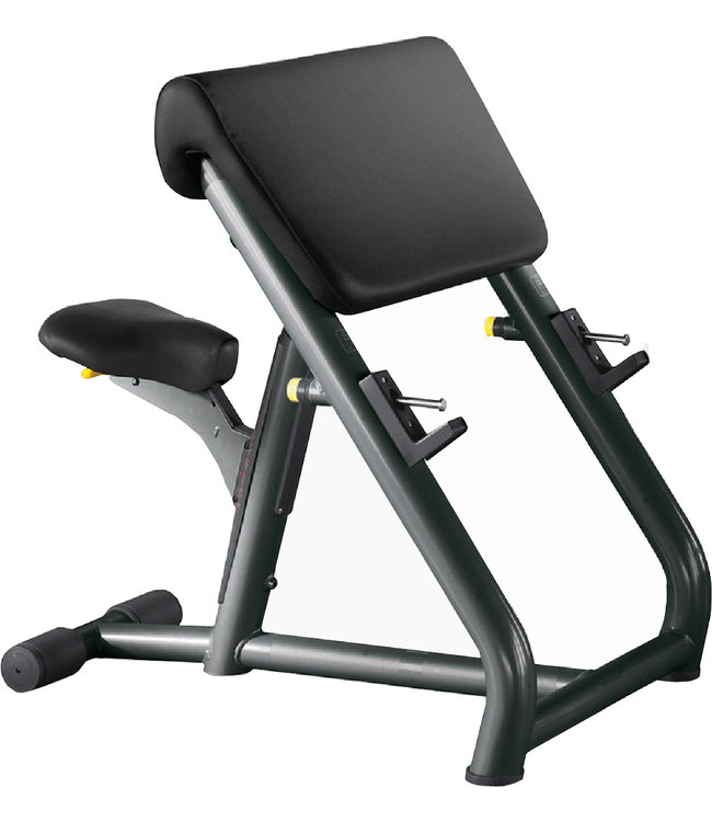 TechnoGym scott bench