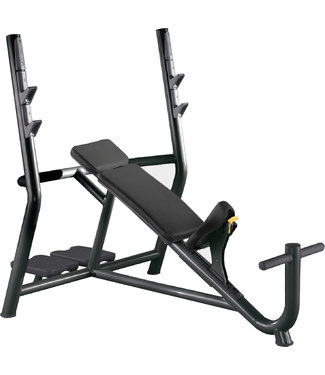 TechnoGym Schrägbank