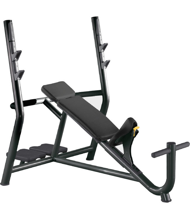 TechnoGym banc incliné