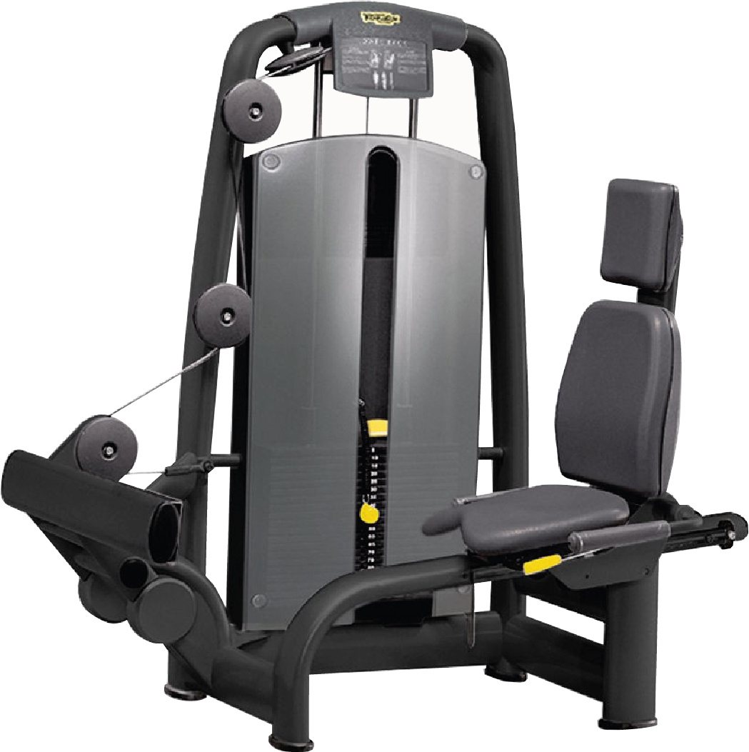 TechnoGym selection rotary calf
