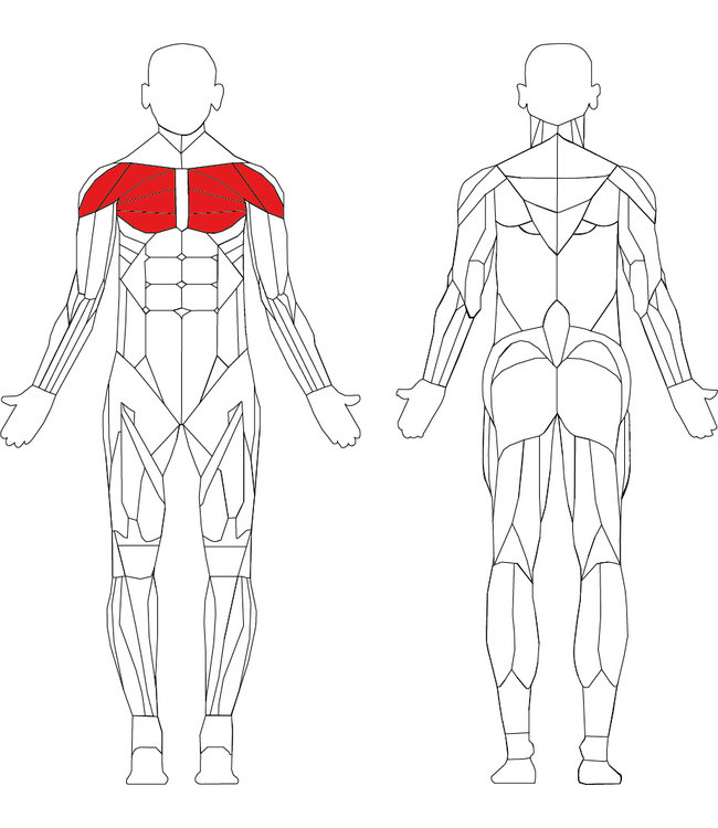 TechnoGym Element+ pectoral