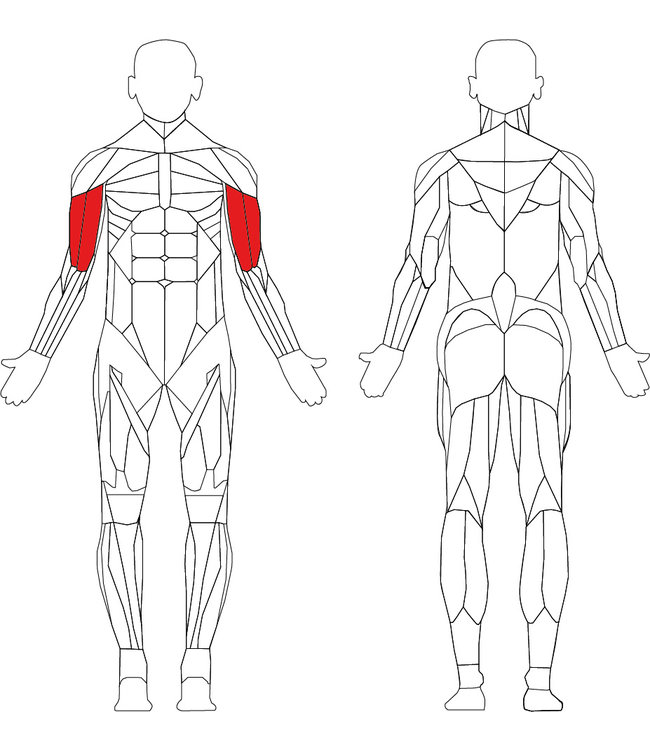 TechnoGym Element+ arm curl