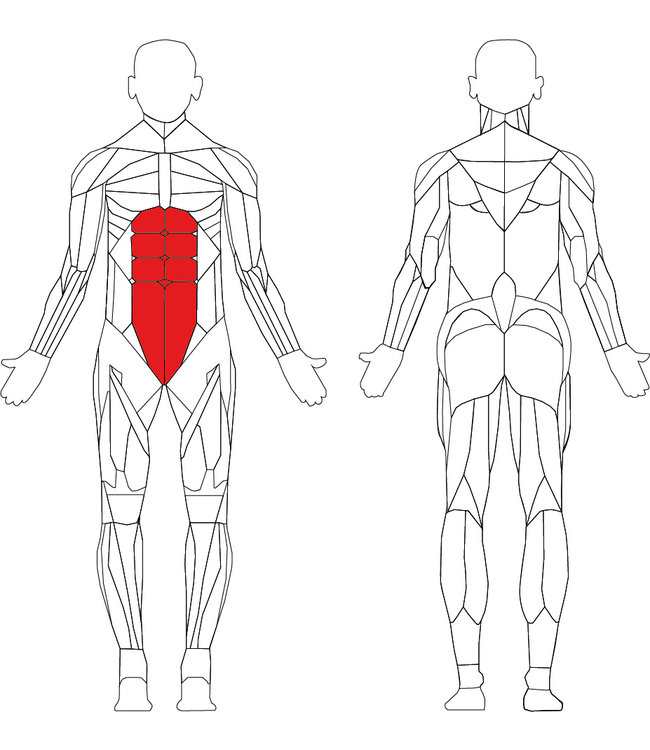 TechnoGym Selection Abdominal crunch