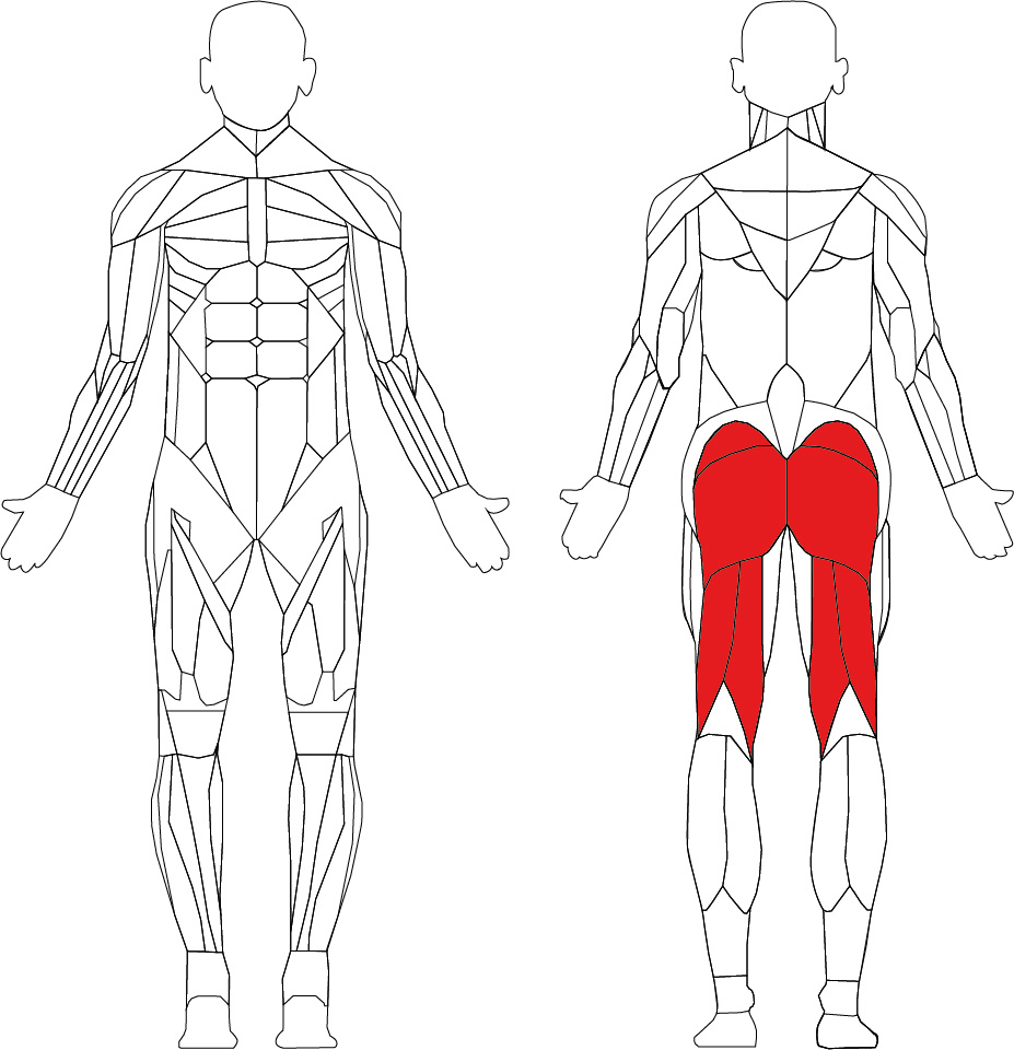 Matrix Ultra series G7 prone leg curl - Best Buy Fitness