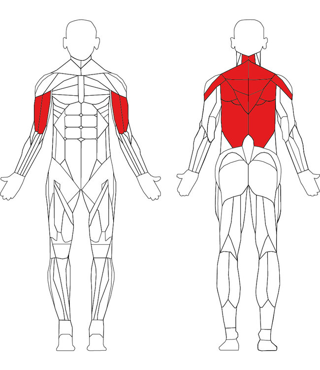 TechnoGym selection upper back