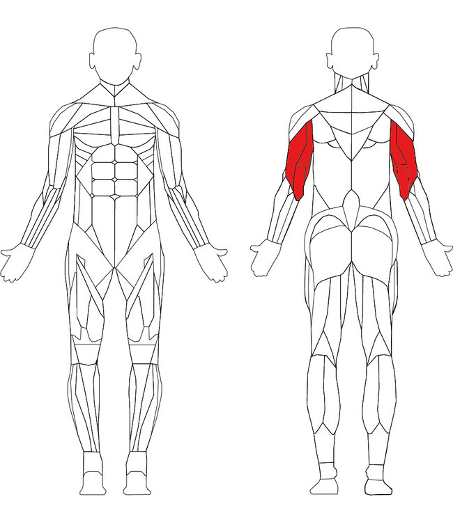 TechnoGym Element+ arm extension