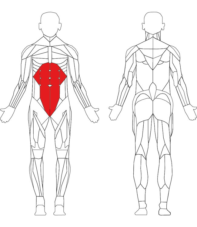 Life Fitness signature torso rotation