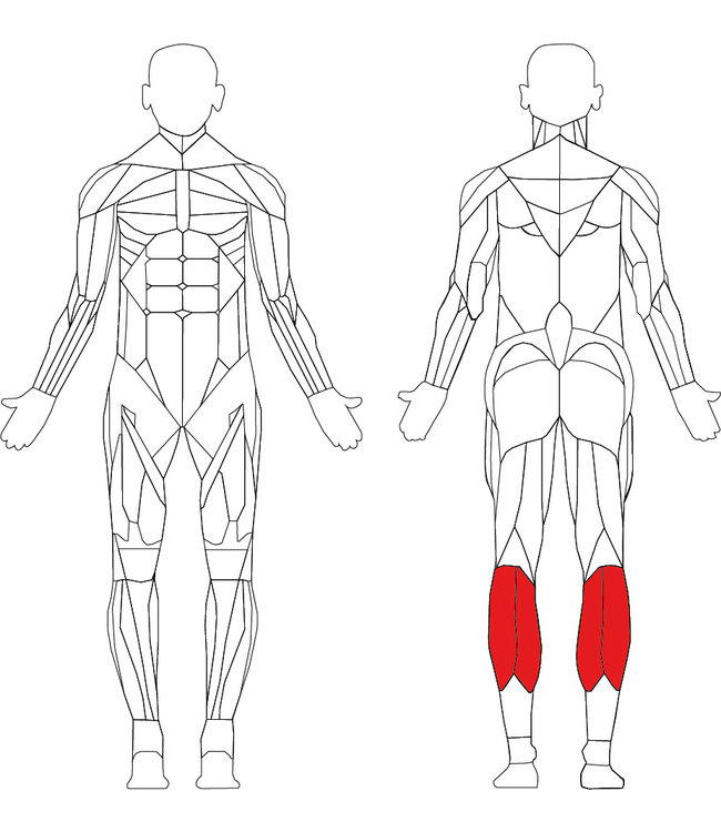 Life Fitness signature calf extension