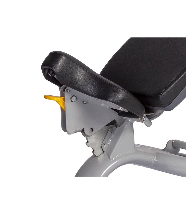 Athletic Performance Adjustable Bench Blue Line