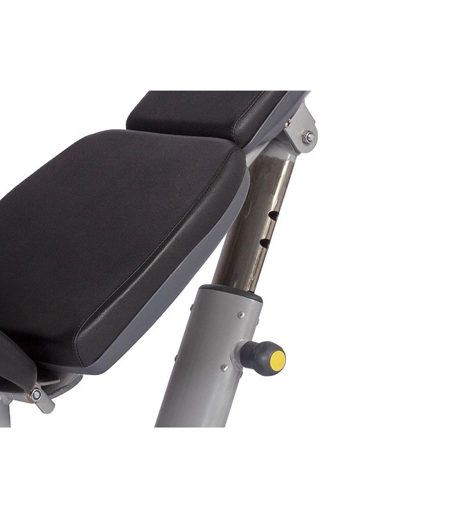 Athletic Performance Verstellbare Hantelbank Blue Line