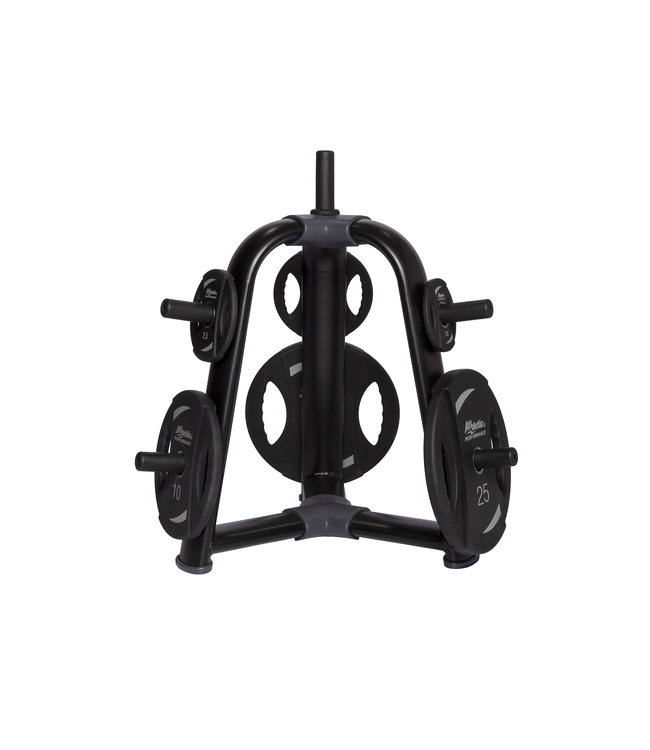 Athletic Performance blue line weight plate tree