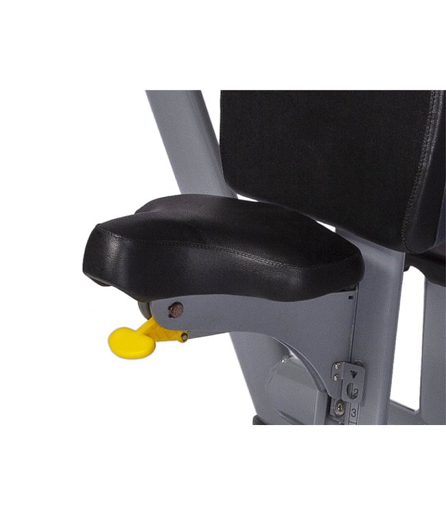 Athletic Performance Olympic Vertical Bench Blue Line