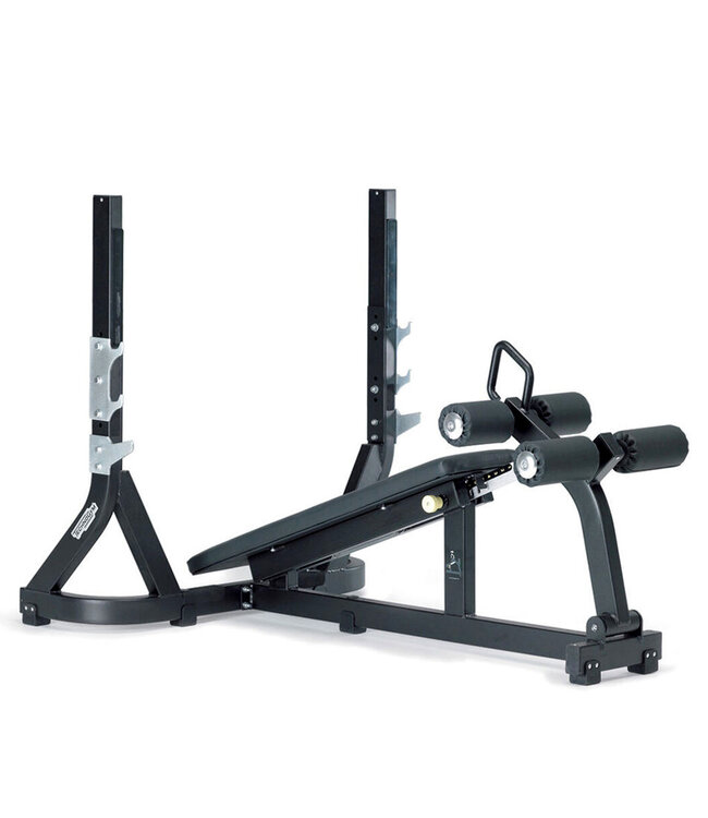 TechnoGym Banc décliné olympique Technogym Pure Strength PG23