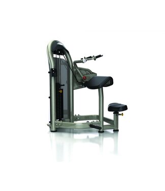 Matrix Aura Serie G3 Trizeps Extension