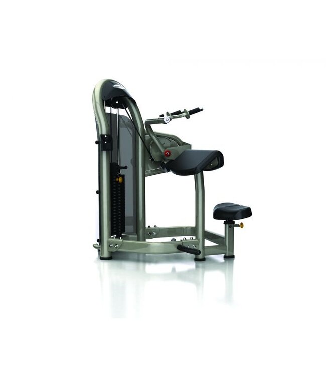 Matrix Aura series G3 triceps extension