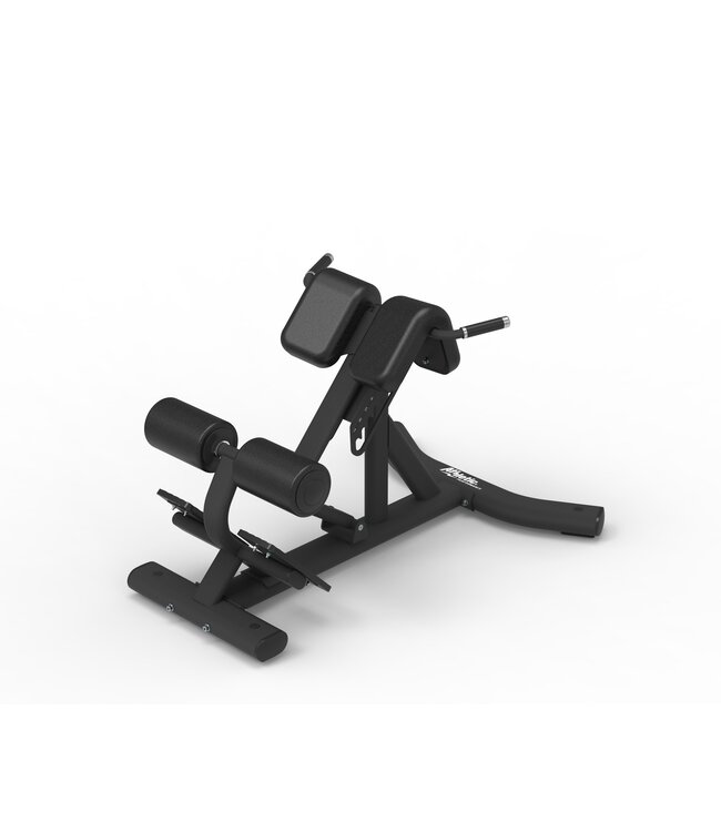 Athletic Performance lower back bench Best Buy Fitness