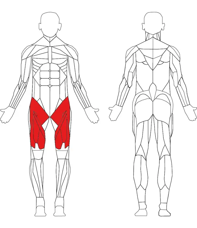 Athletic Performance Seated leg extension /Prone leg curl