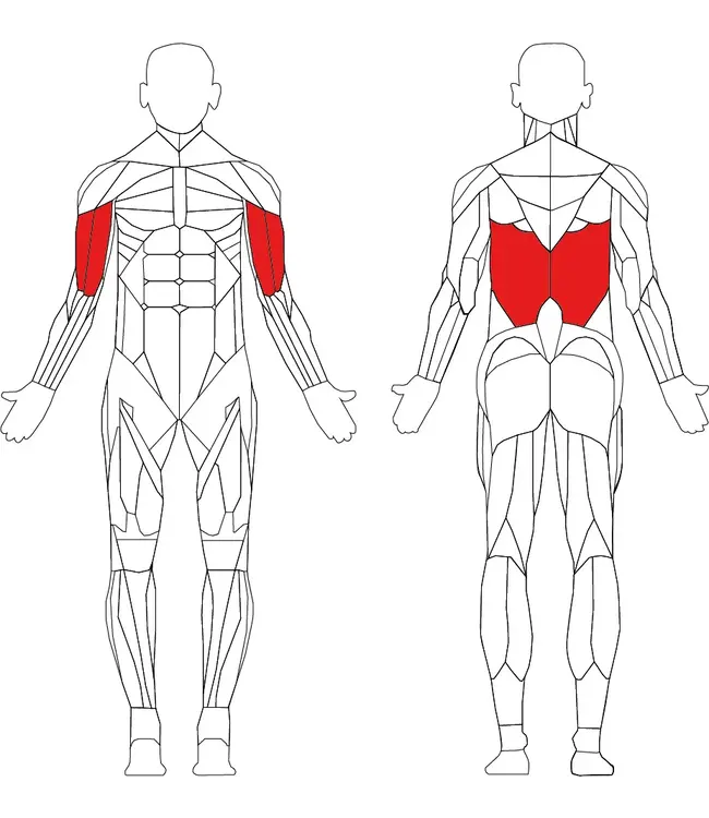 Athletic Performance Tirage vertical/horizontal