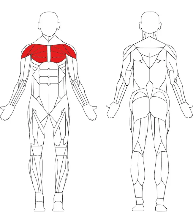 Athletic Performance Pec Fly / Rear Delt ex Demo