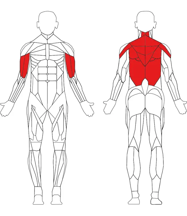 Athletic Performance Pec Fly / Rear Delt ex Demo