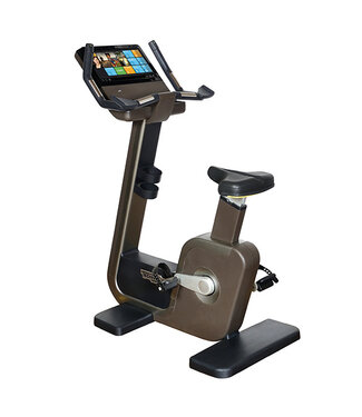 TechnoGym Bike Artis Unity