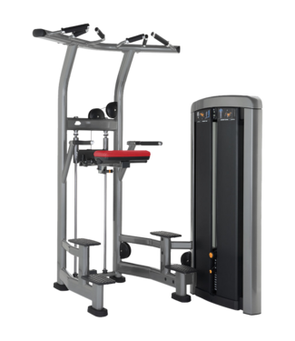 Life Fitness Insignia Assisted Dip Chin