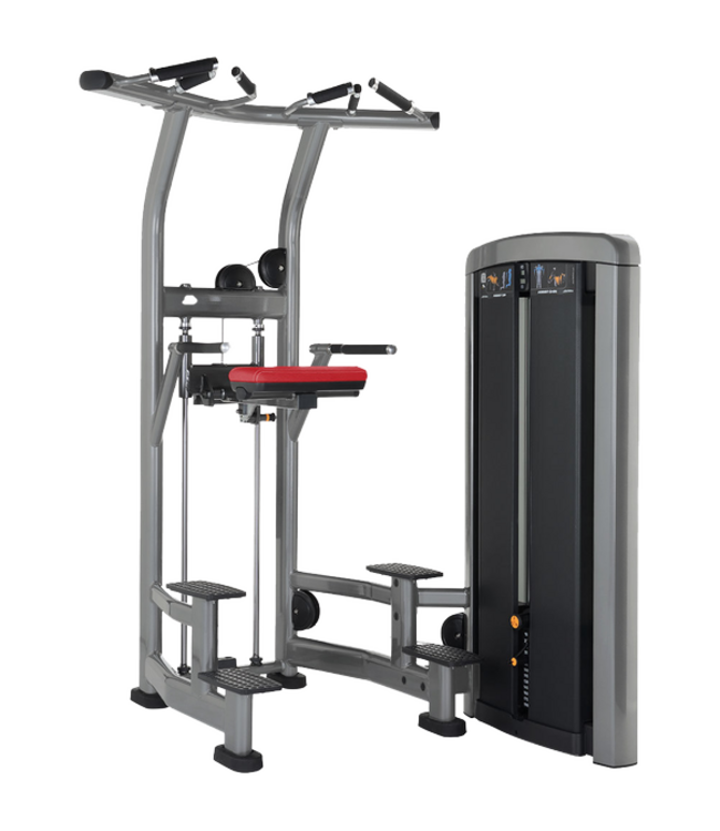 Life Fitness Insignia Tractions/Dips Assistés