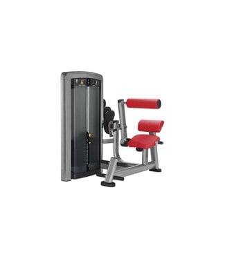Life Fitness Insignia Lower Back
