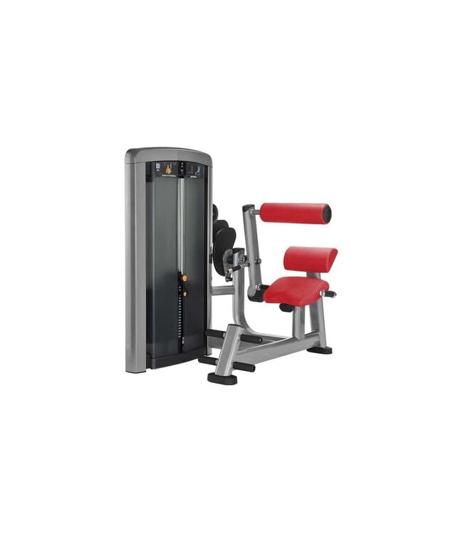 Life Fitness Insignia Lower Back