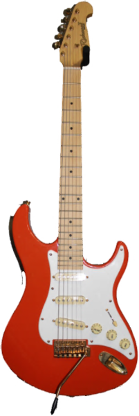Alstublieft prieel Strak REG-157-FR Richwood elektrische gitaar kopen? Muziekhuis Hidding -  Muziekhuis Hidding