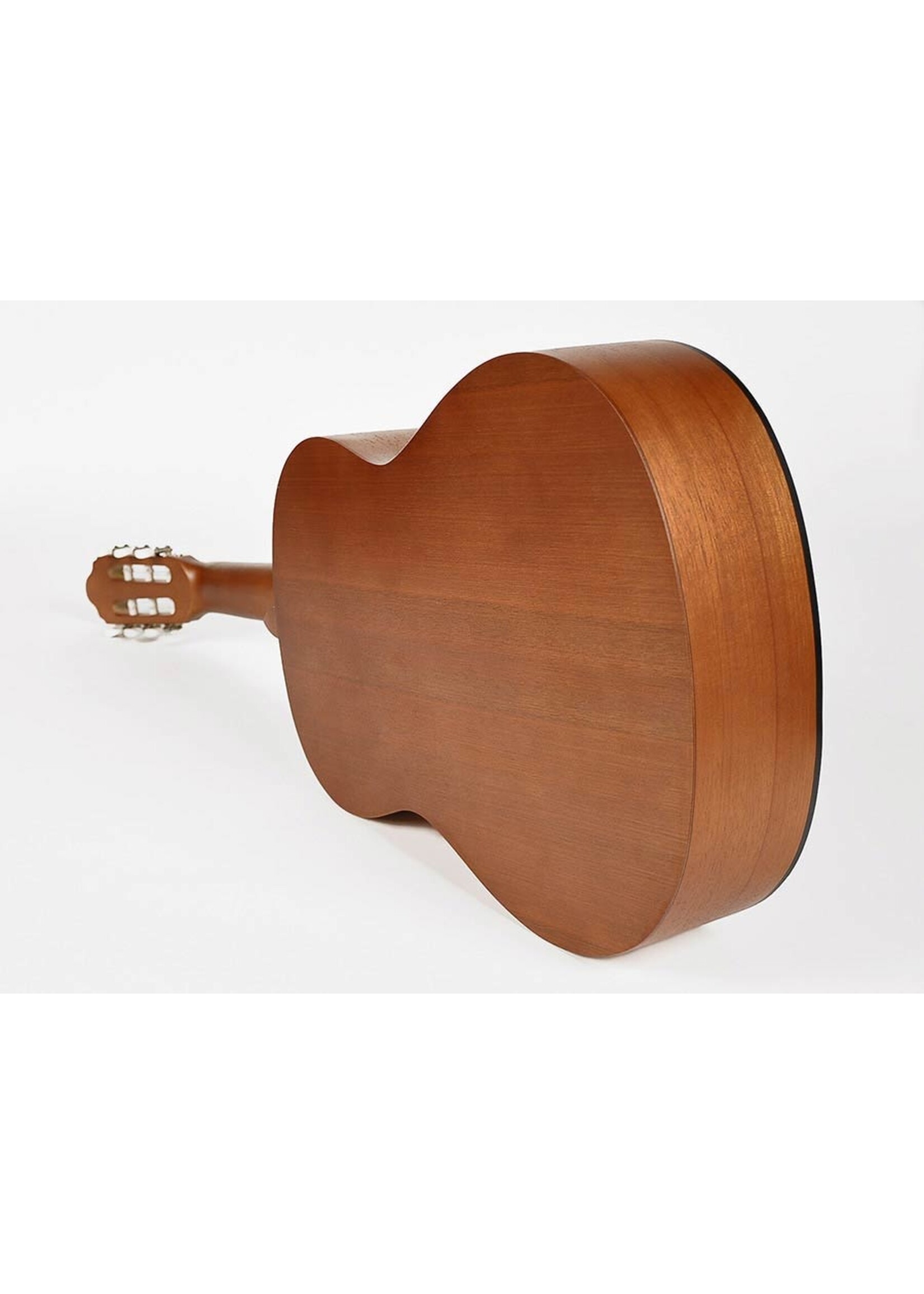 Valencia  Valencia  VC204 |  Series 200 klassieke gitaar