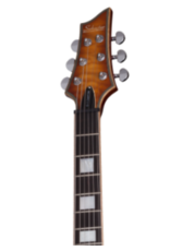 Schecter Schecter C-1 Custom Elektrische gitaar