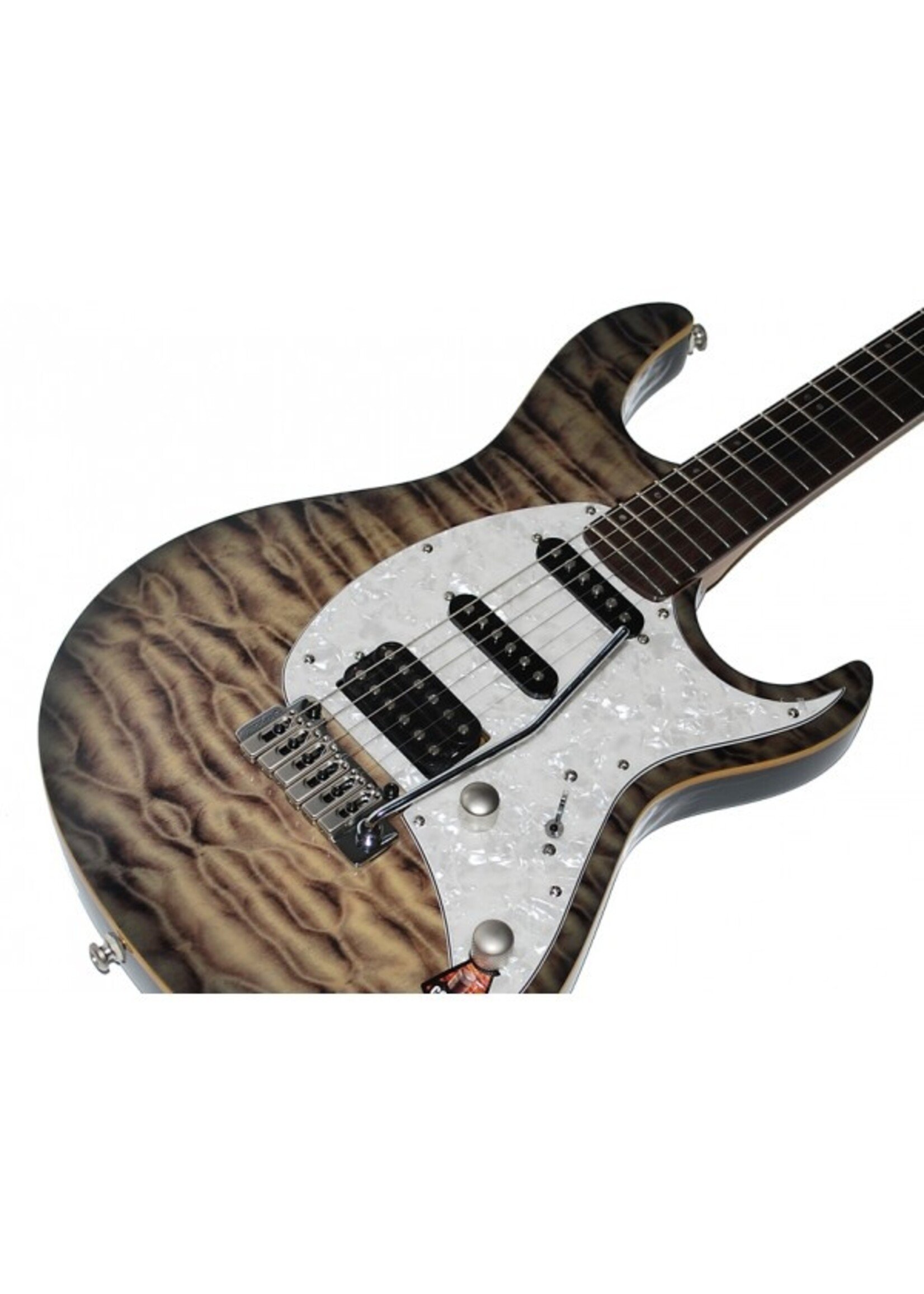 Cort Cort  G250FT-FGB / Elektrische gitaar