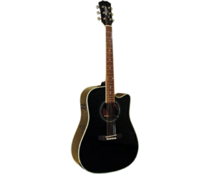 Morgan W310 BLK Akoestische gitaar kopen? Muziekhuis Hidding - Muziekhuis Hidding
