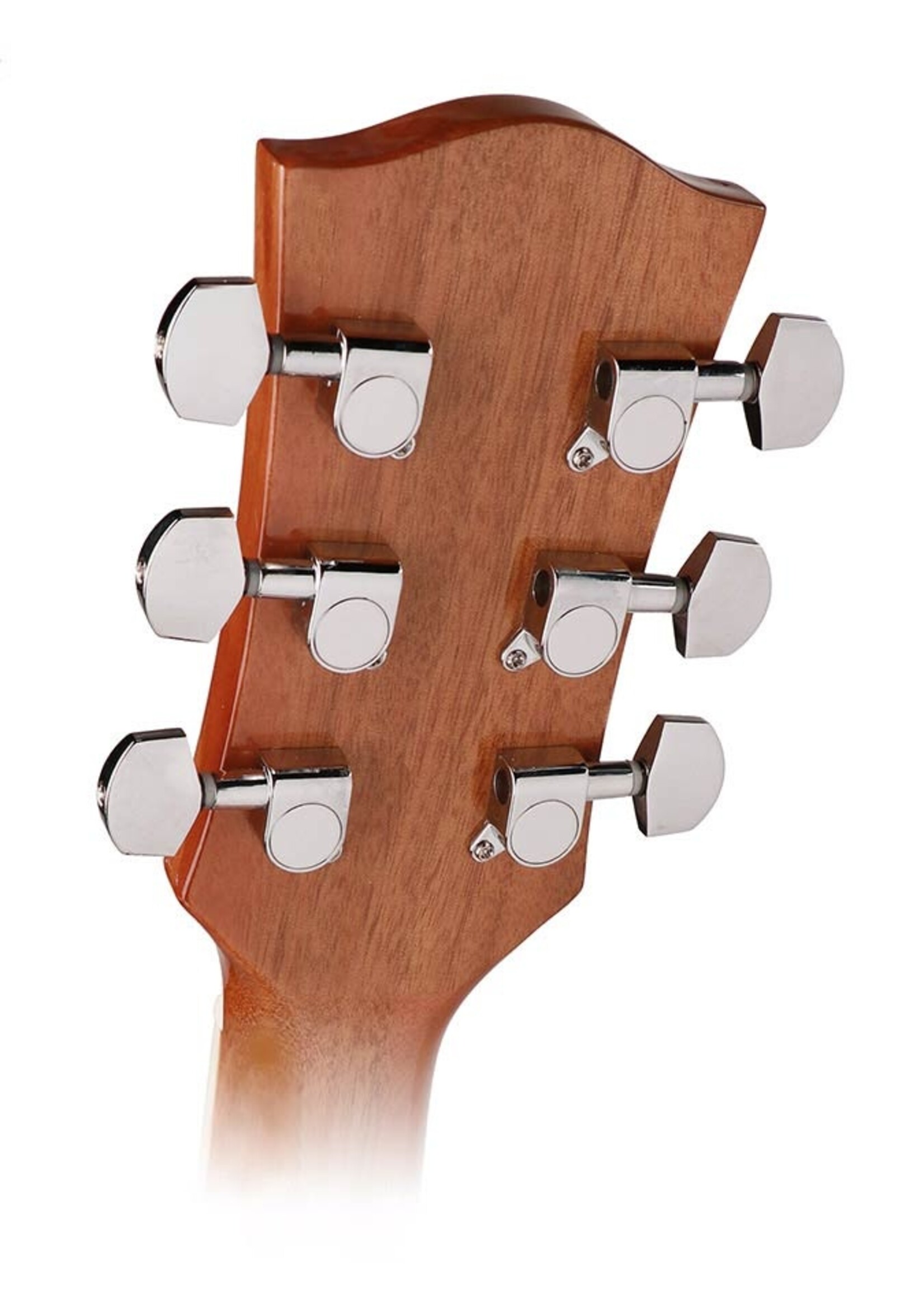 Richwood  RD-12 | Richwood Artist Series akoestische gitaar