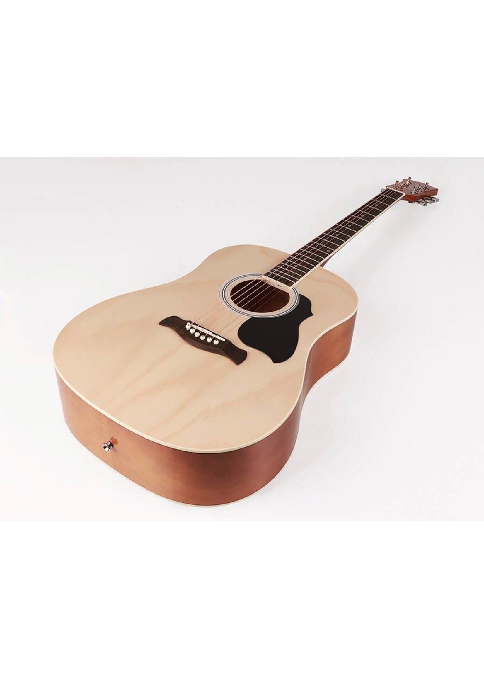 Richwood  RD-12 | Richwood Artist Series akoestische gitaar