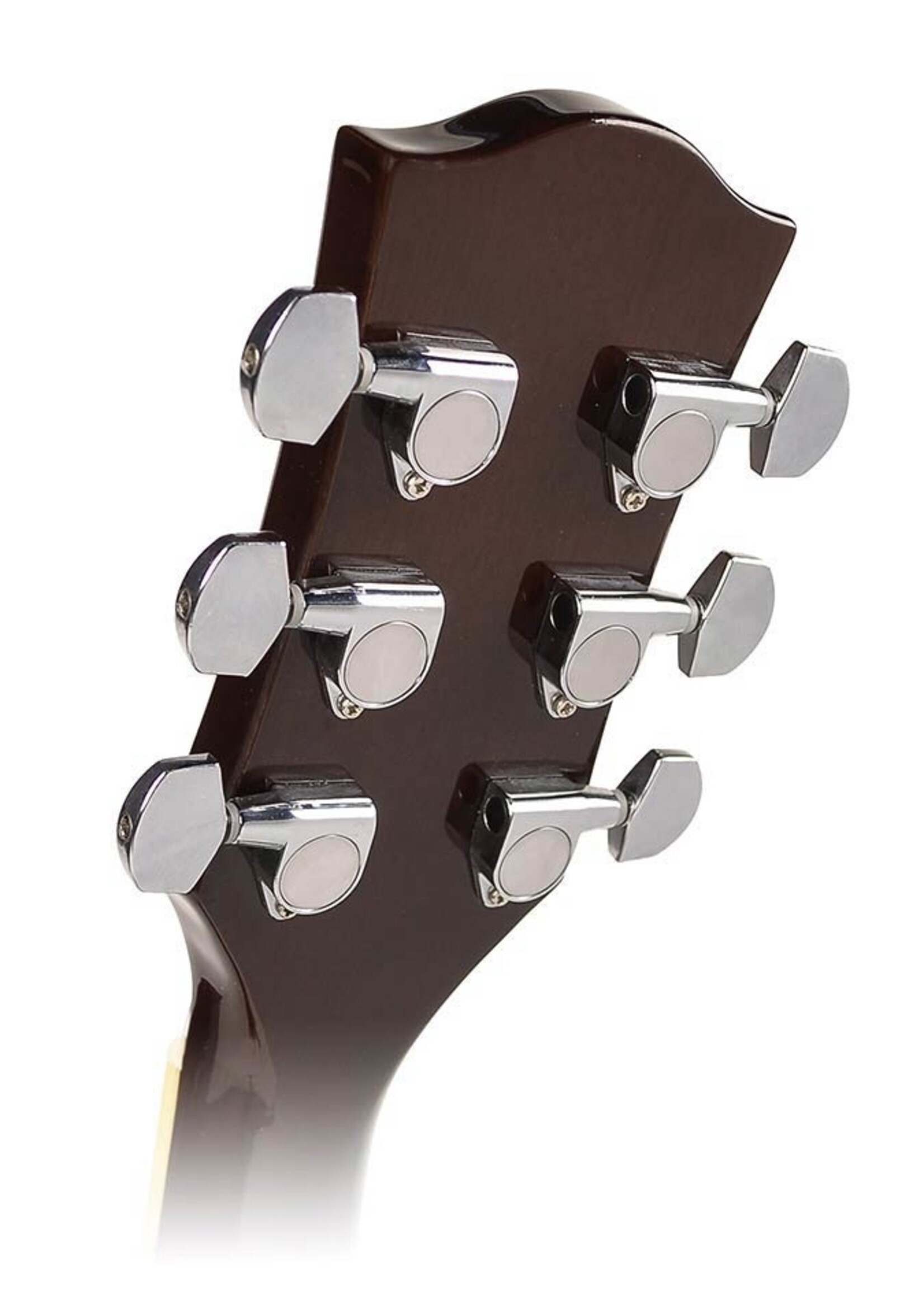 Richwood  RD-12-SB | Richwood Artist Series akoestische gitaar