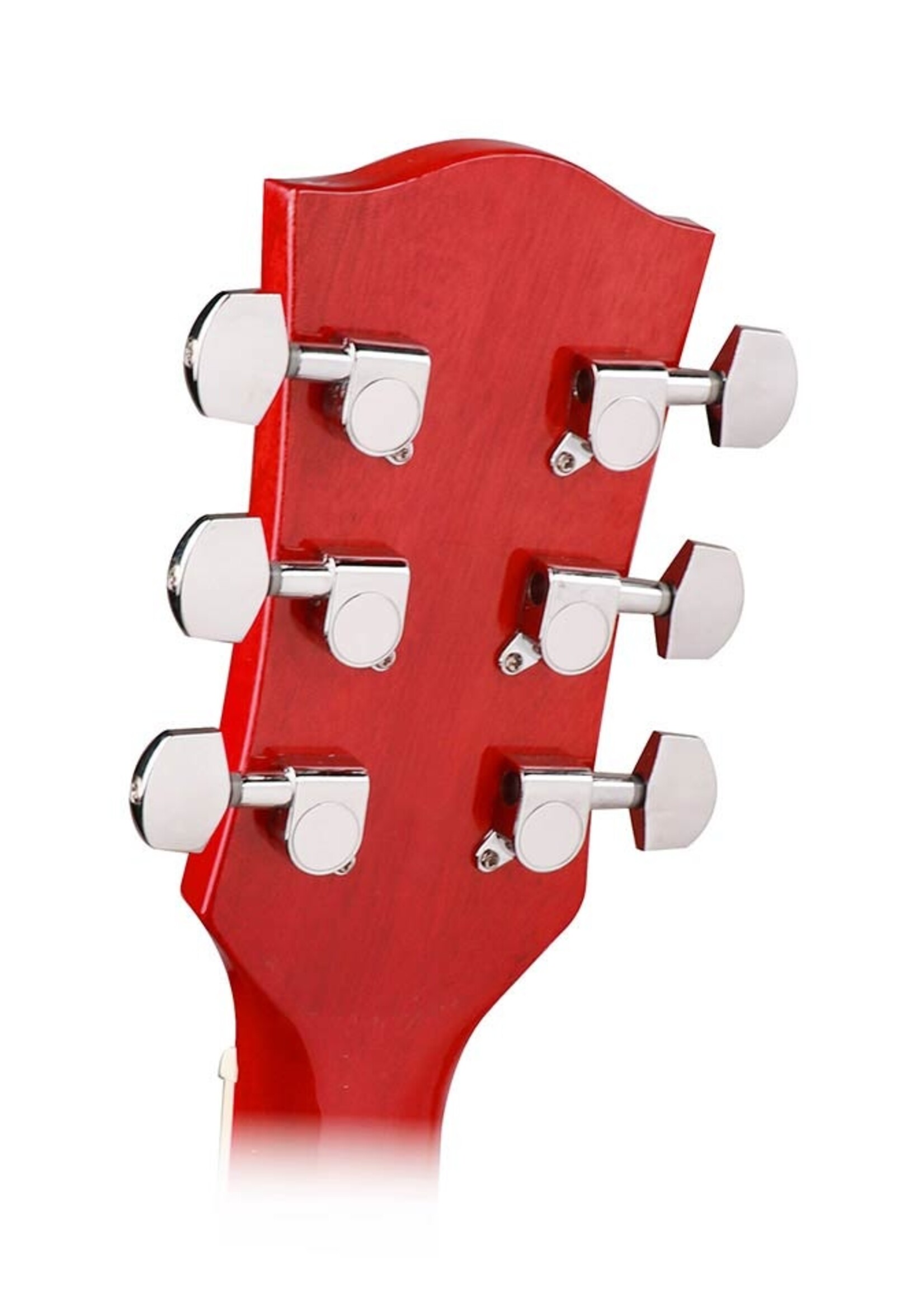 Richwood  RD-12-RS| Richwood Artist Series akoestische gitaar